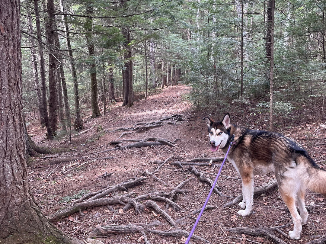 Maliseet Trail-Woodstock必去景点