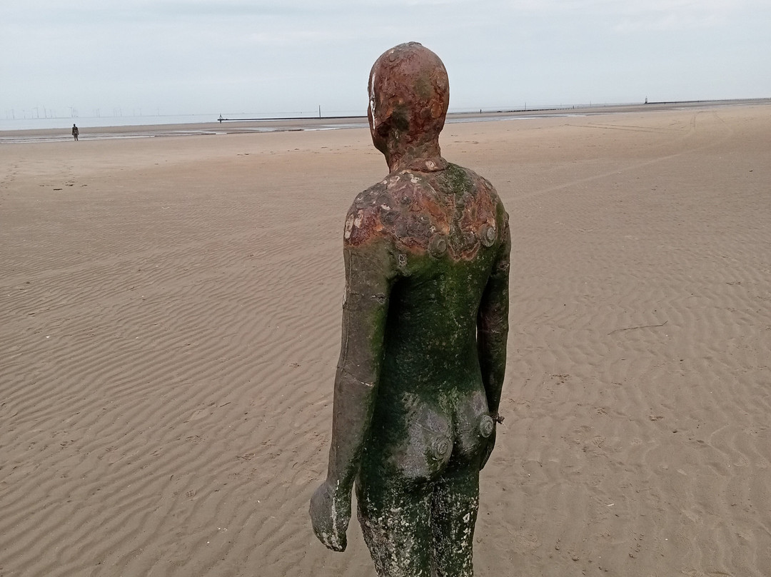 Crosby Beach-克罗斯比必去景点