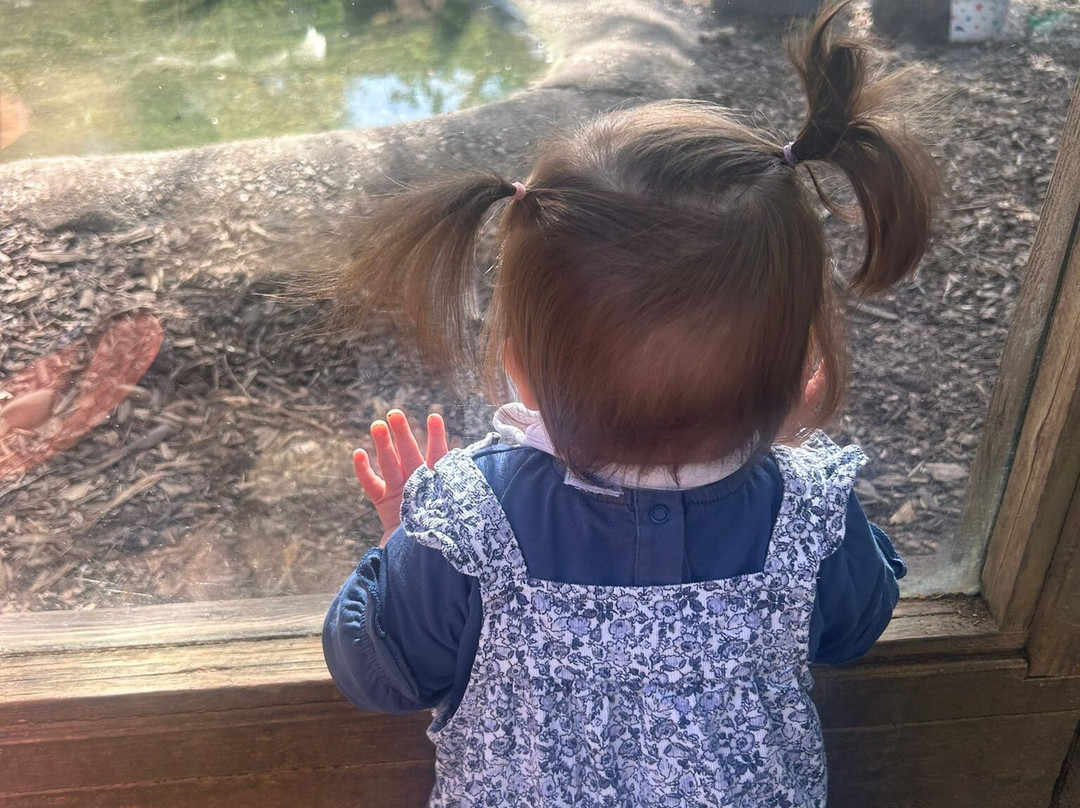 New Forest Wildlife Park-Ashurst必去景点