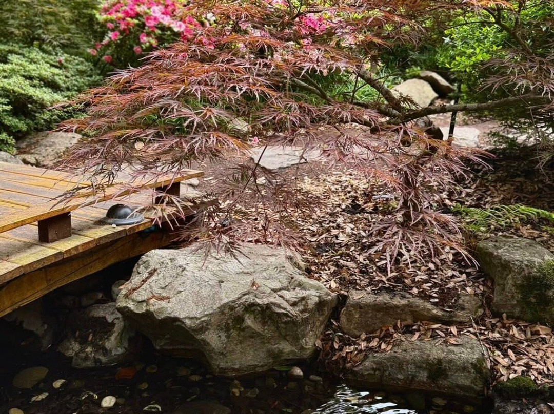 New Hanover County Arboretum-威尔明顿必去景点