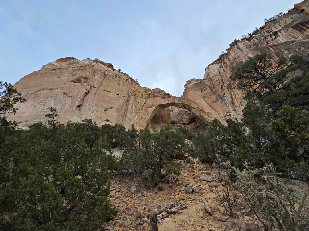 La Ventana Natural Arch-Grants必去景点
