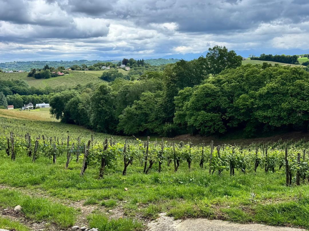 Clos Lapeyre-Jurancon必去景点