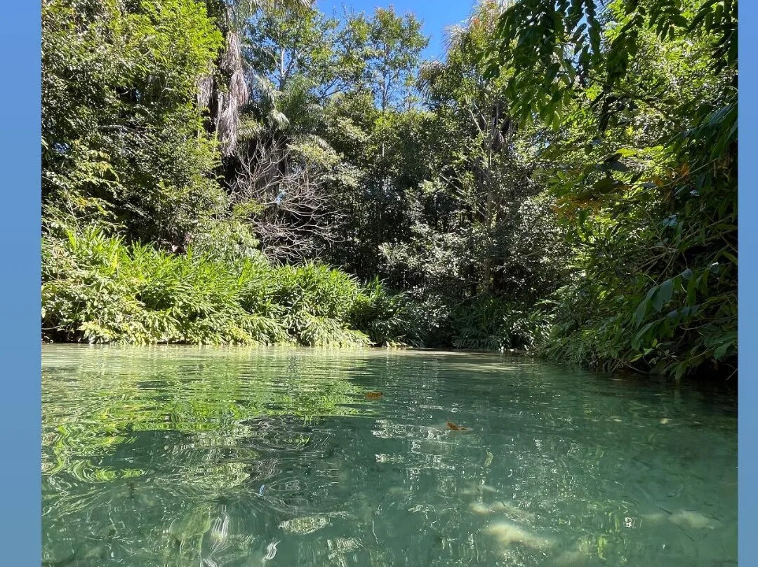 Cerrado Dourado Expedições-Jalapao State Park必去景点