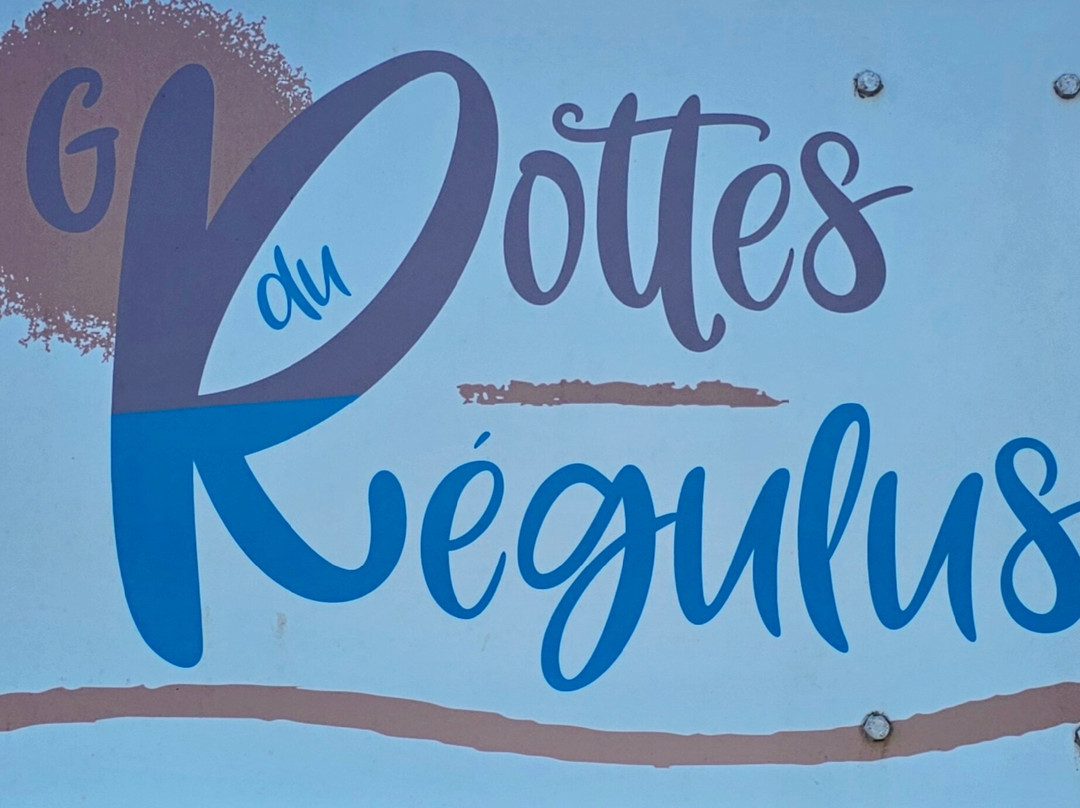 Grottes du Régulus-Meschers-sur-Gironde必去景点