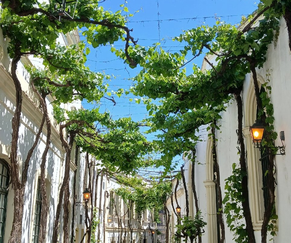 Bodegas Tio Pepe-赫雷斯德拉弗隆特拉必去景点