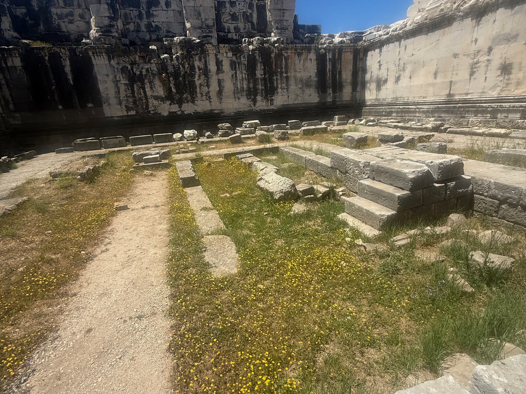 Temple of Apollo-迪迪姆必去景点