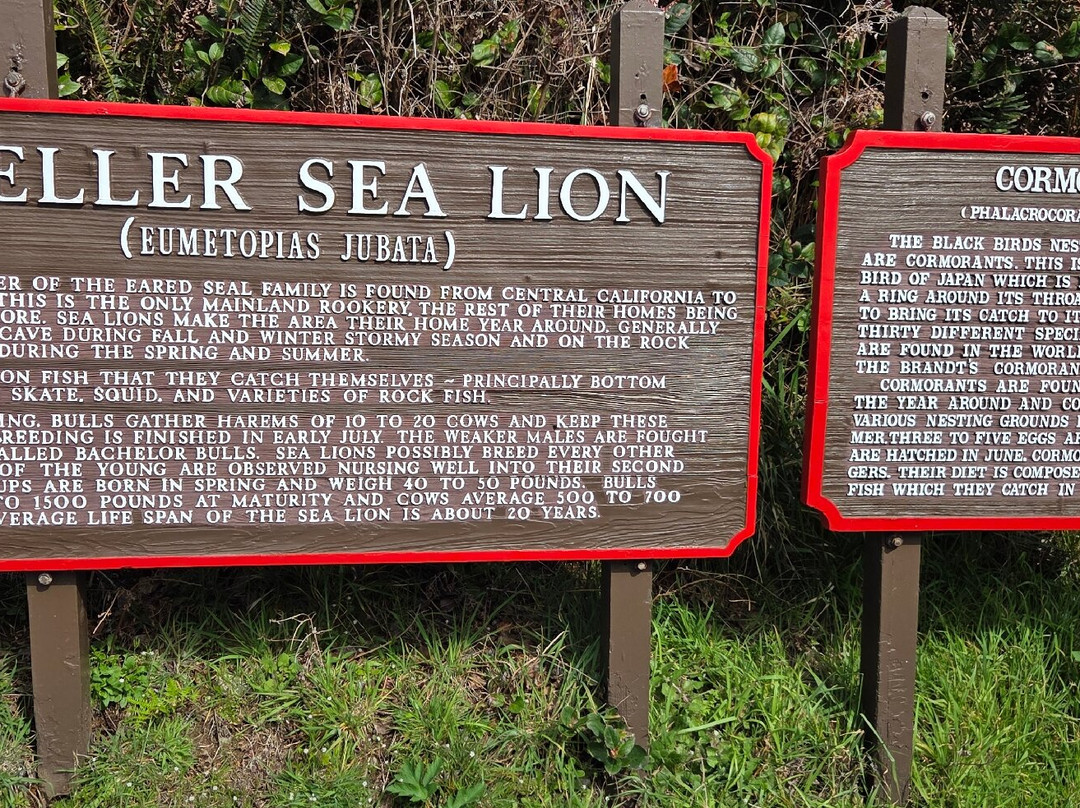 Sea Lion Caves-弗洛伦斯必去景点