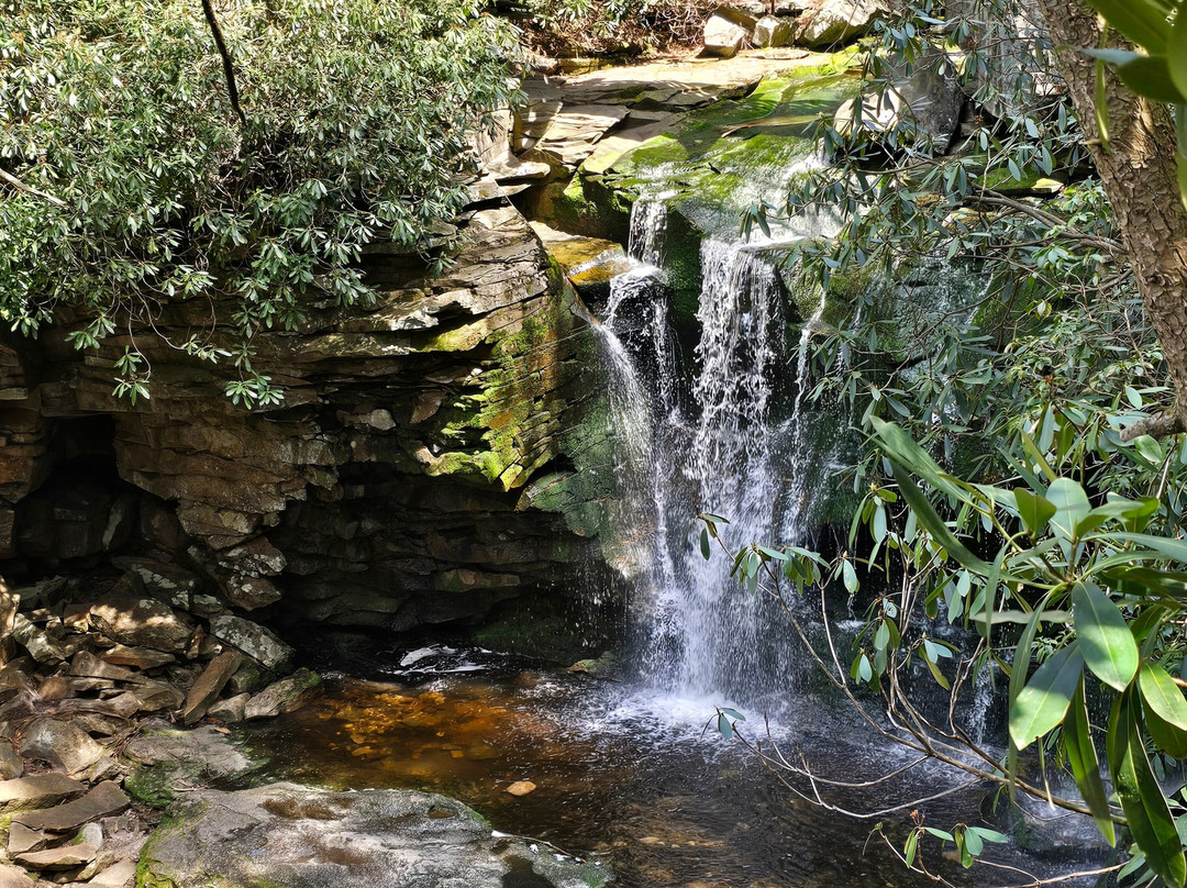 Blackwater Falls State Park-戴维斯必去景点