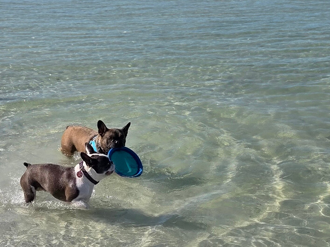 Bonita Springs Dog Park-博尼塔斯普林斯必去景点