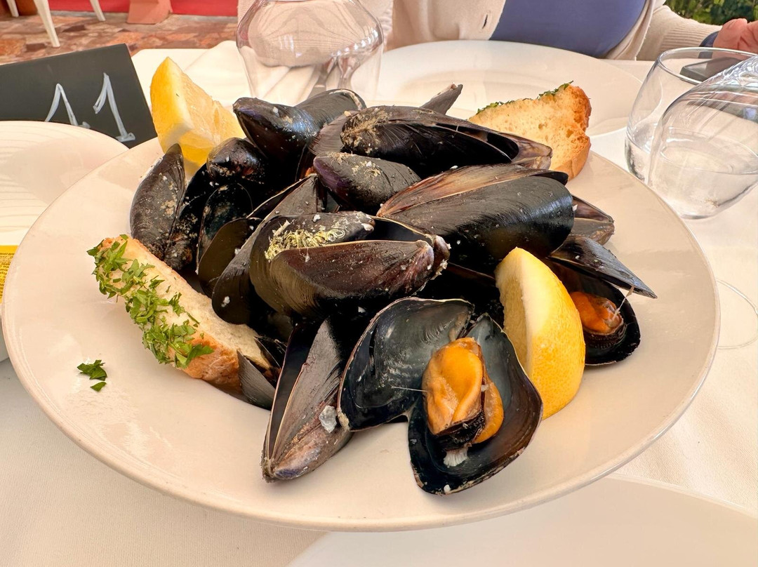 OSSI DI SEPPIA Ristorante-Pizzeria