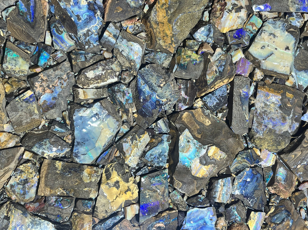 Opal Museum-布里斯班必去景点