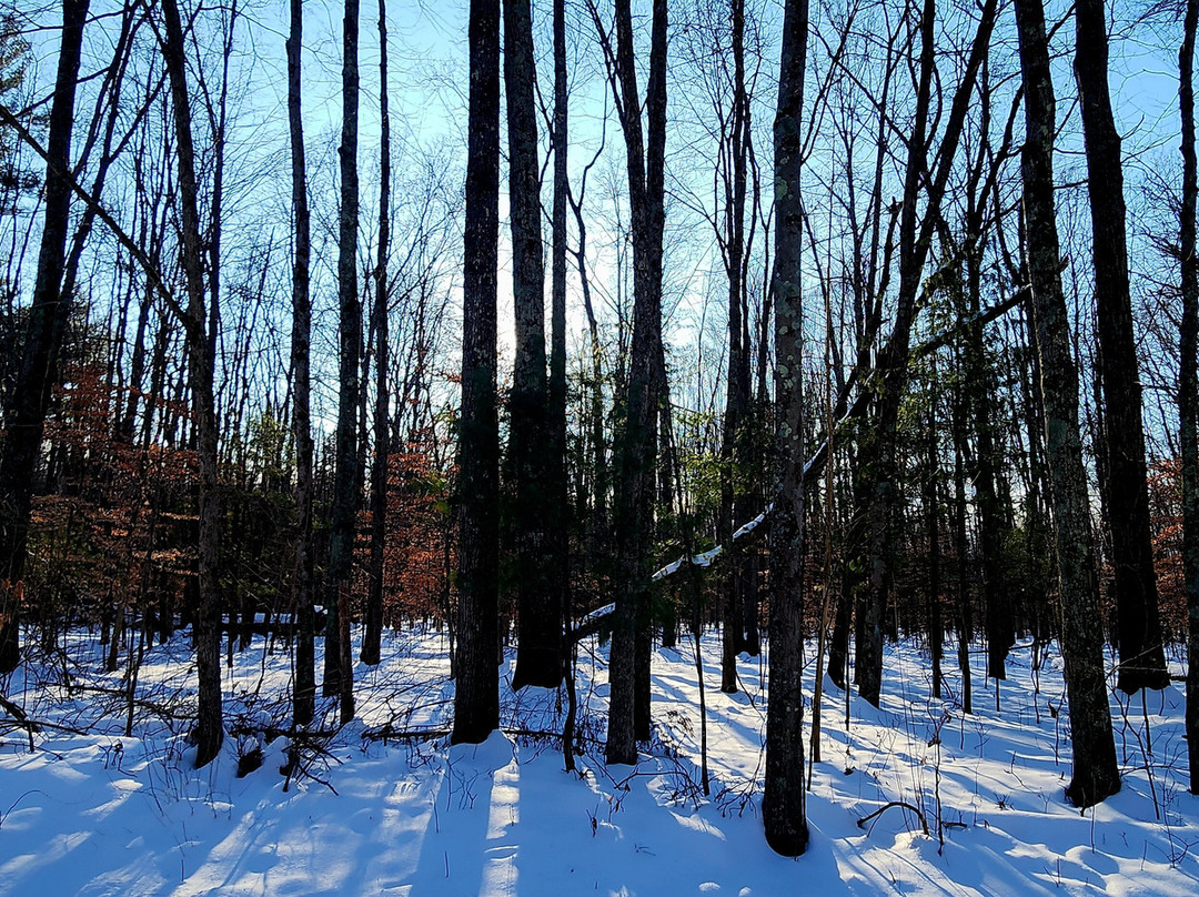 Stonelick State Park-Pleasant Plain必去景点