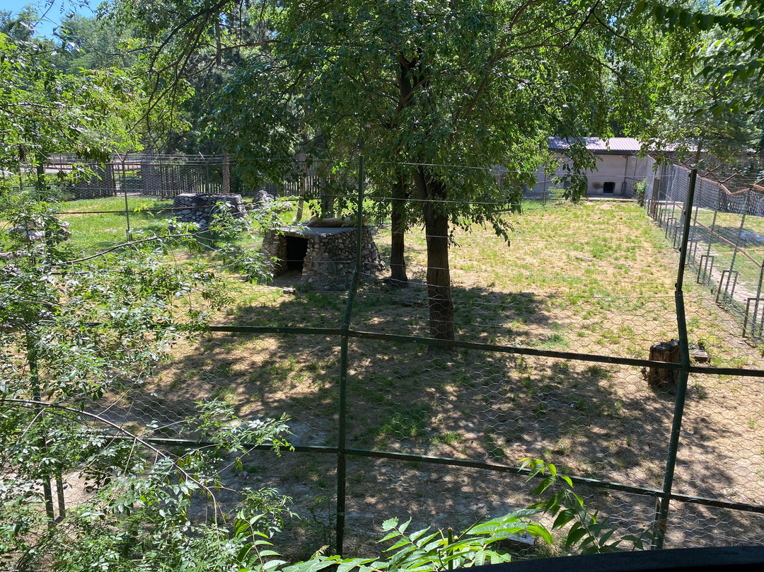 Skopje ZOO-斯科普里必去景点