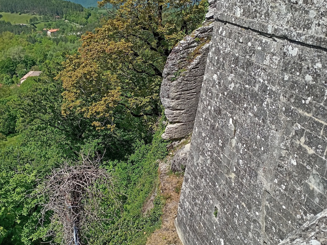 La Verna Santuario Francescano-Chiusi della Verna必去景点
