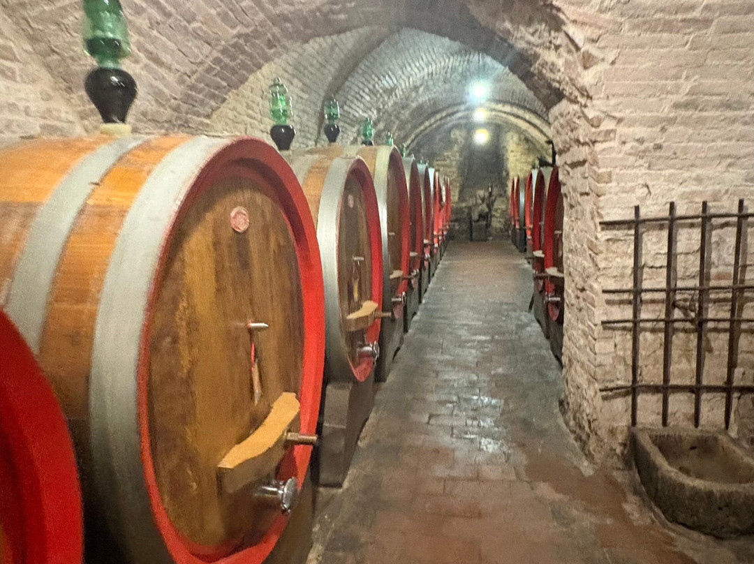 Azienda Agricola Ercolani-蒙特普尔恰诺必去景点