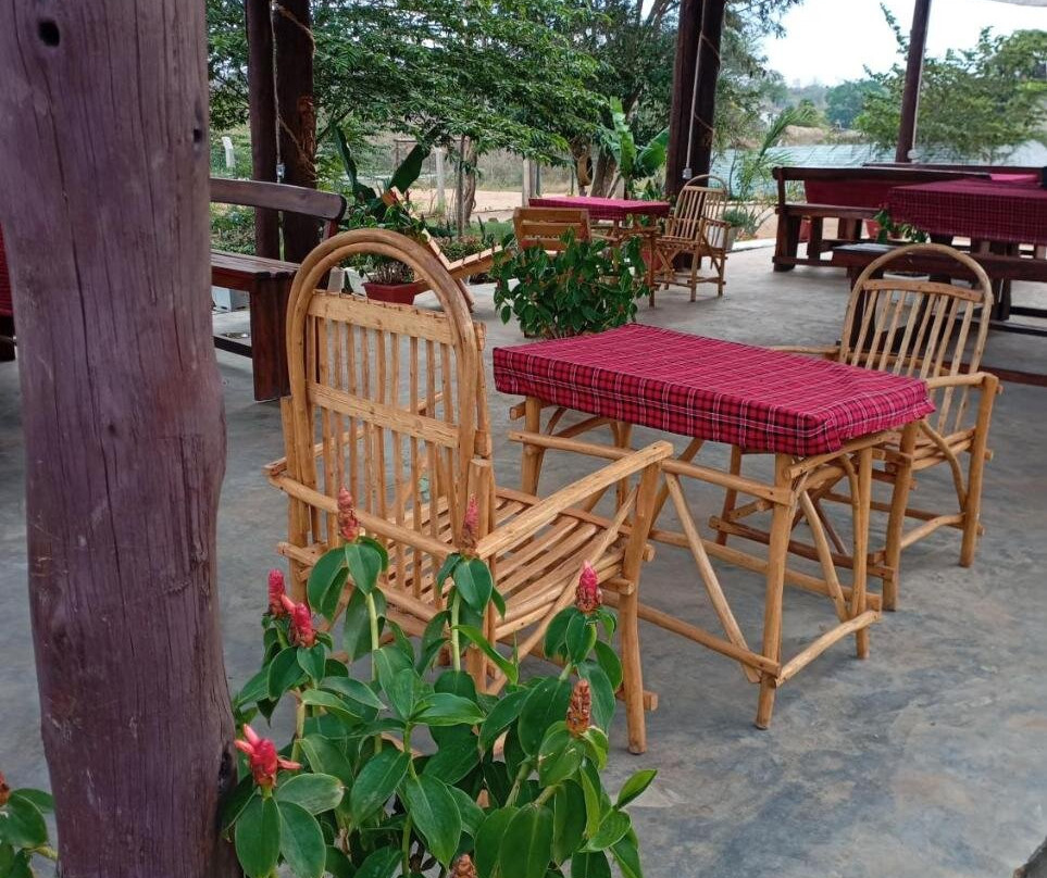 Saadani Pangani camps and tours