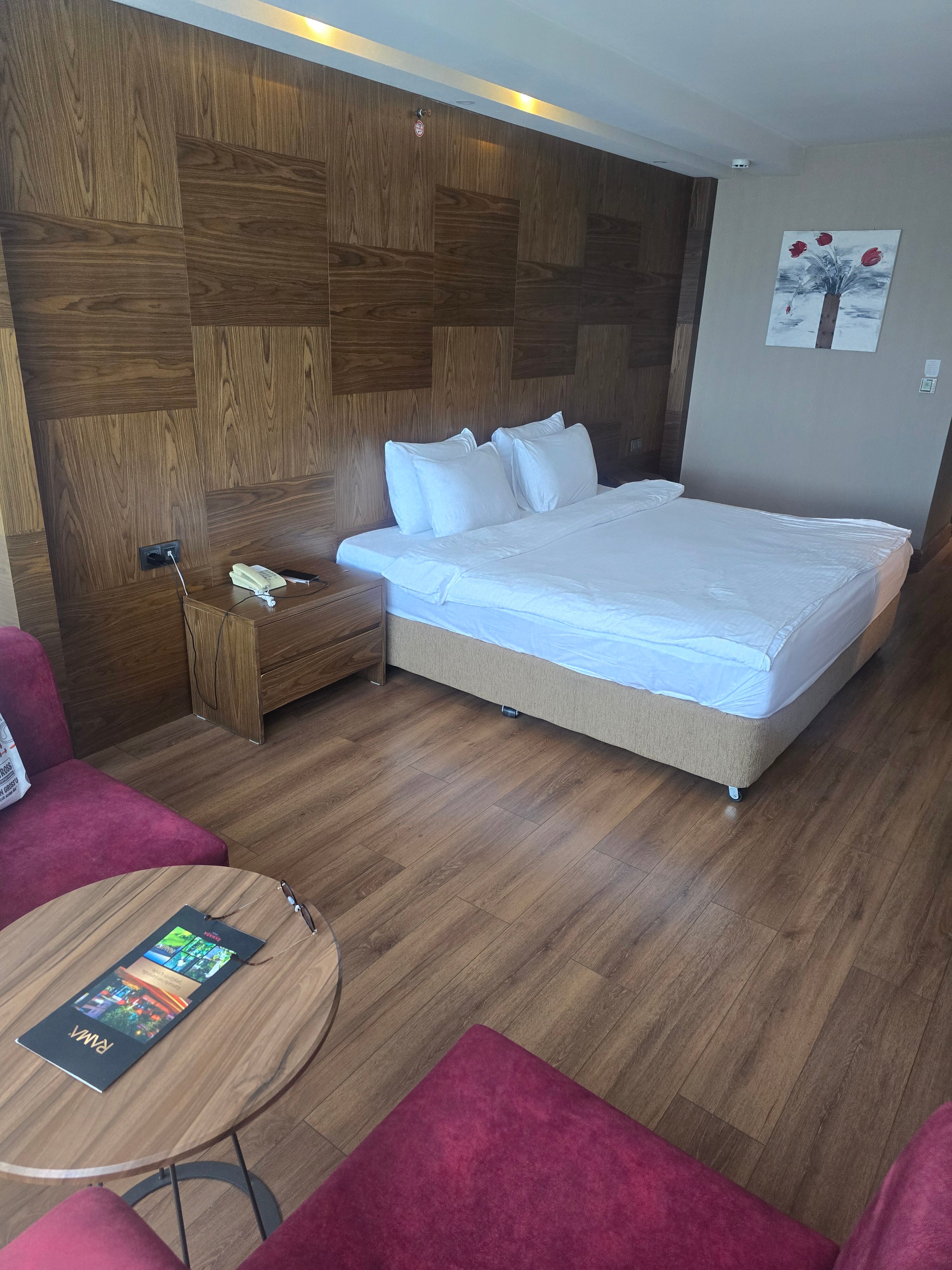 温德姆华美达广场酒店-萨姆松-旅行者