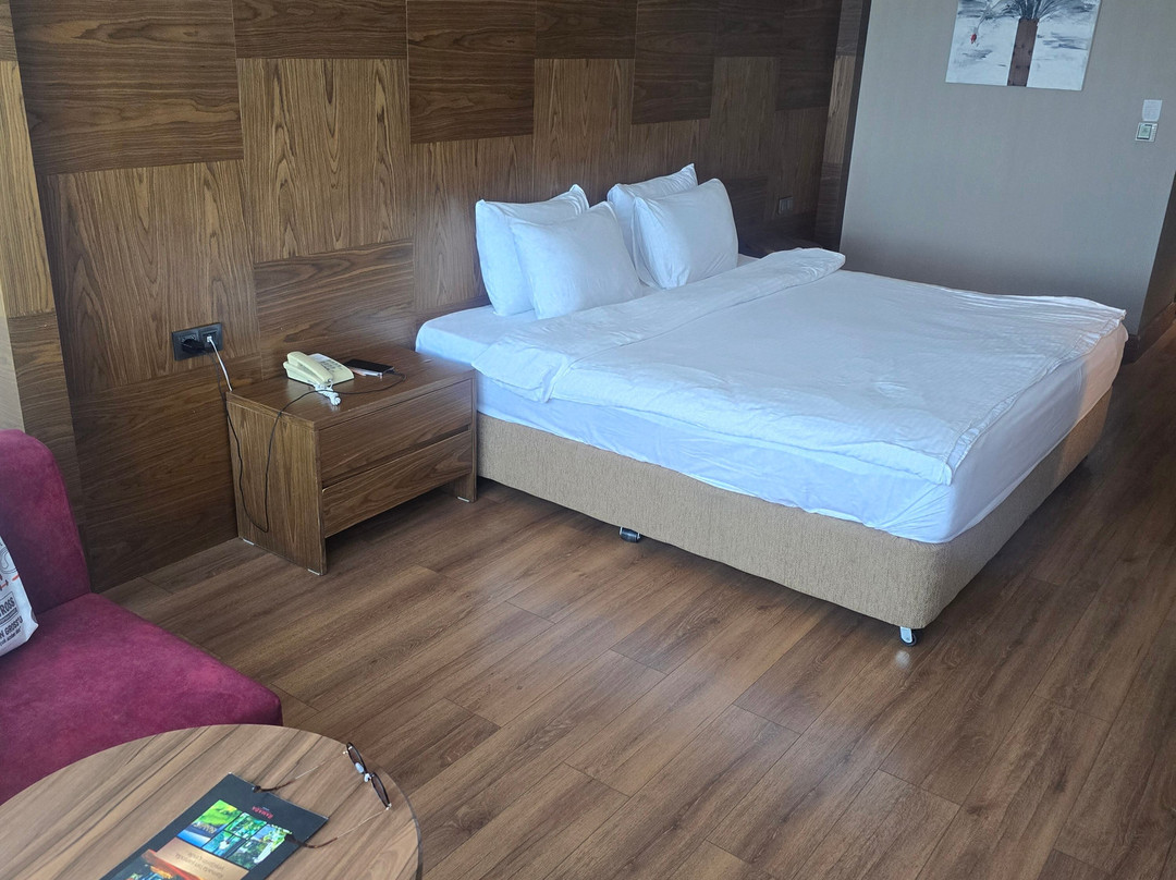 温德姆华美达广场酒店-萨姆松主图