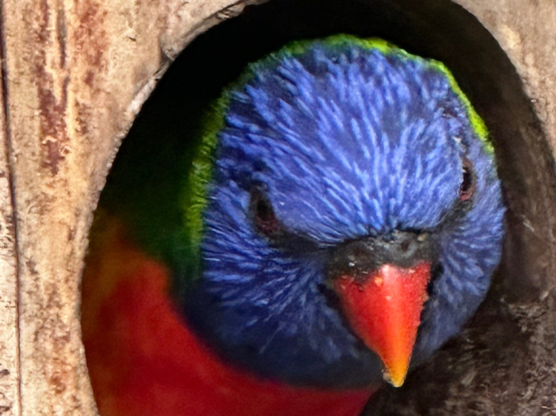 Zoo de Bordeaux Pessac-Pessac必去景点