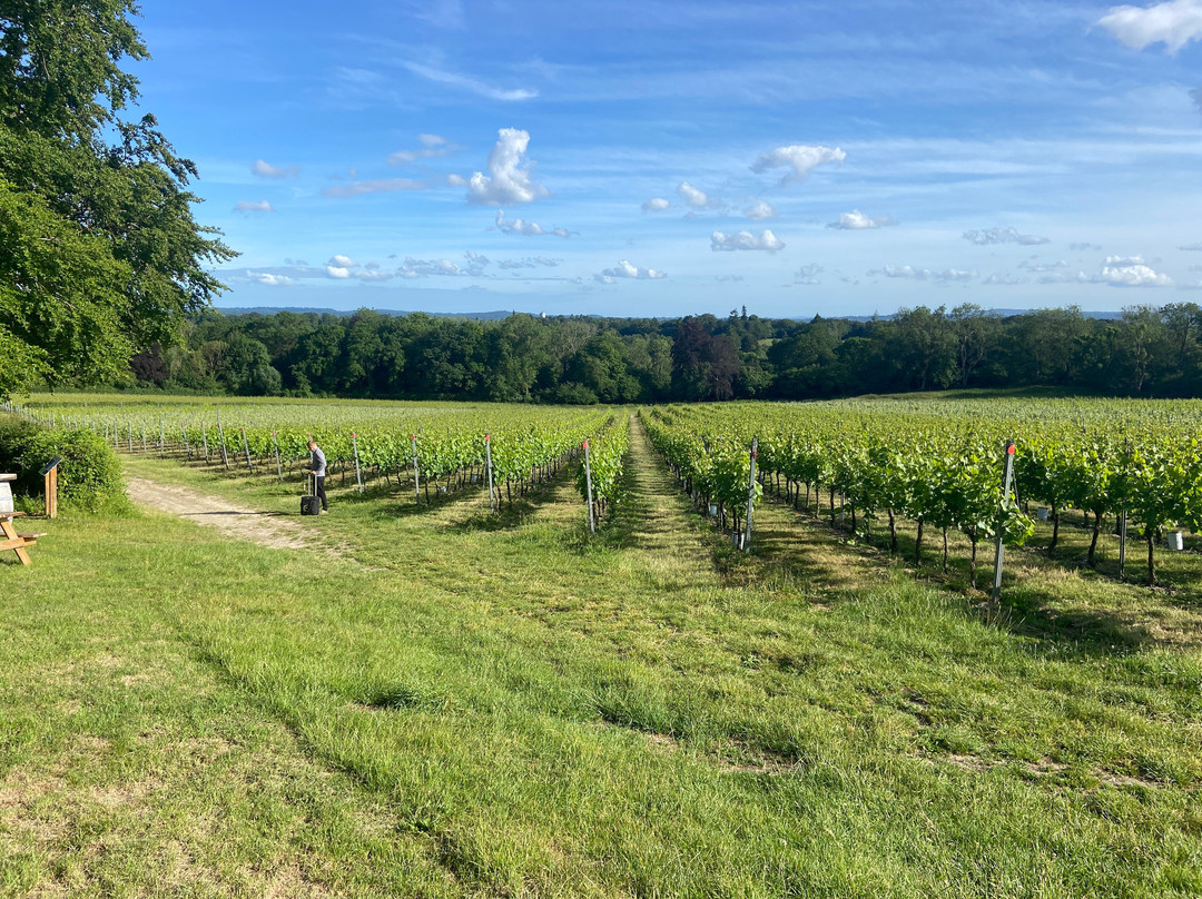 Greyfriars Vineyard-Puttenham必去景点