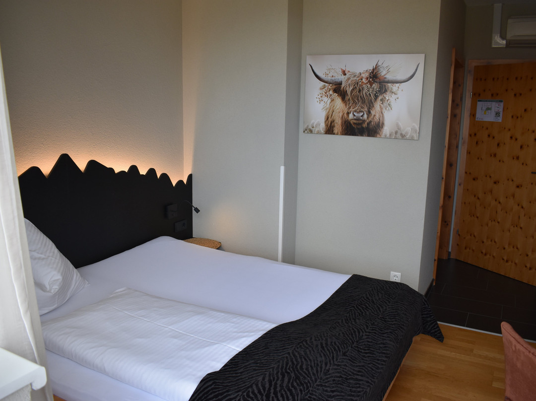 Hotel Kleissl主图