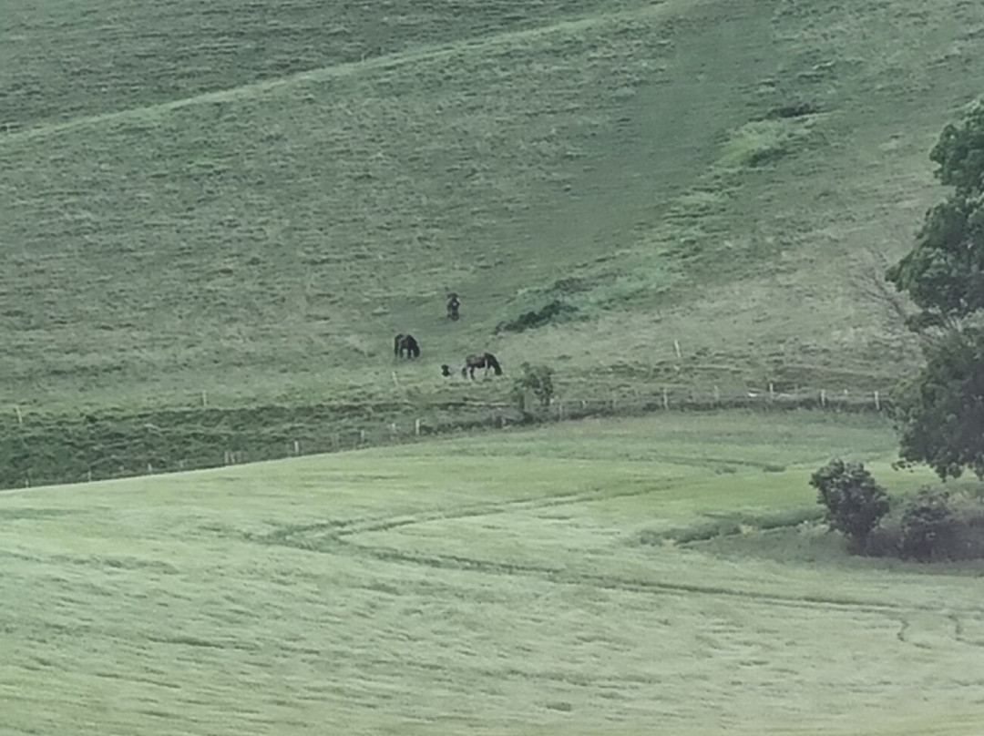 The Long Man of Wilmington-Wilmington必去景点
