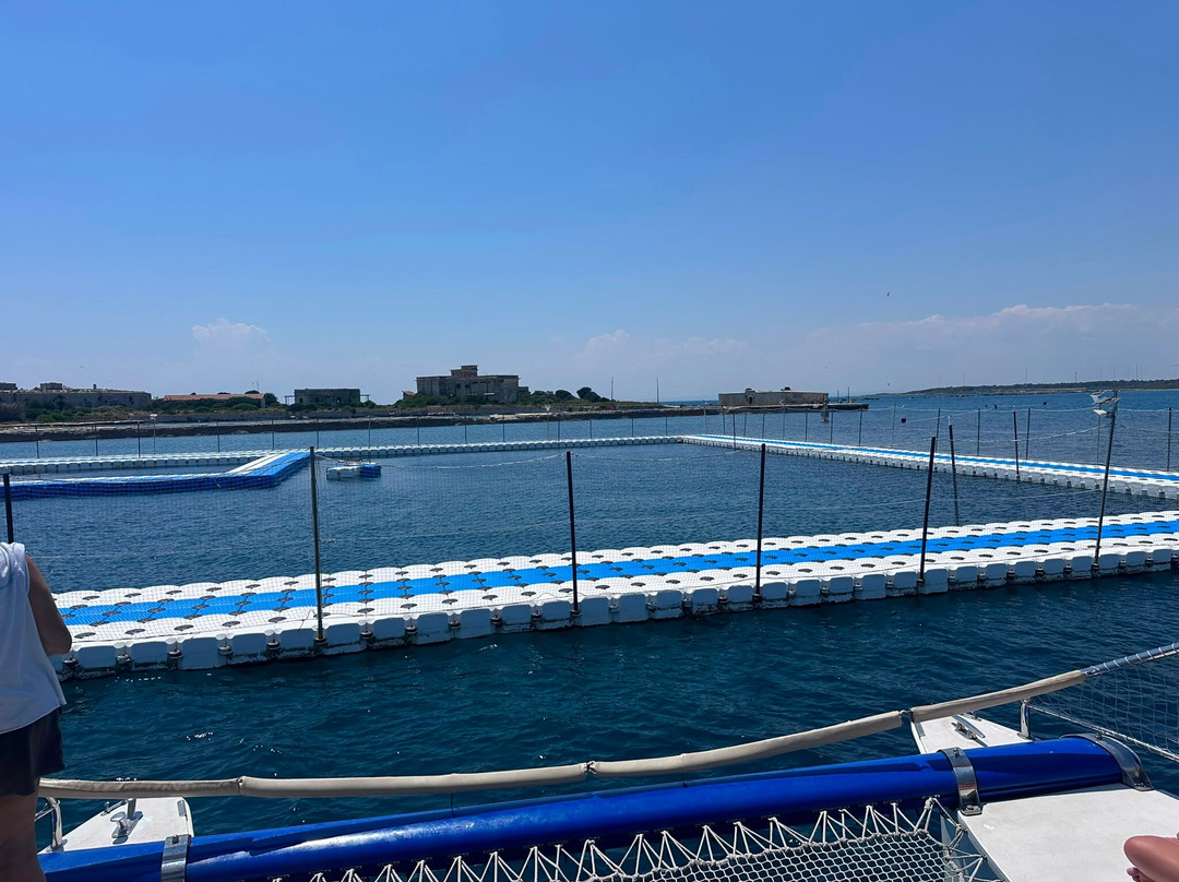 Jonian Dolphin Conservation-塔兰托必去景点