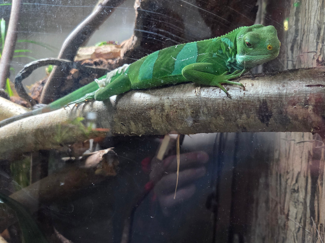 Dartmoor Zoological Society-Sparkwell必去景点