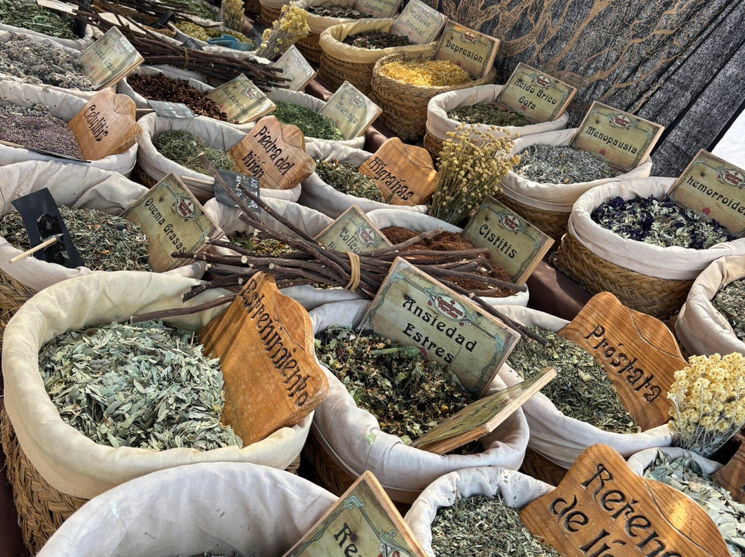 Nerja Market-内尔哈必去景点