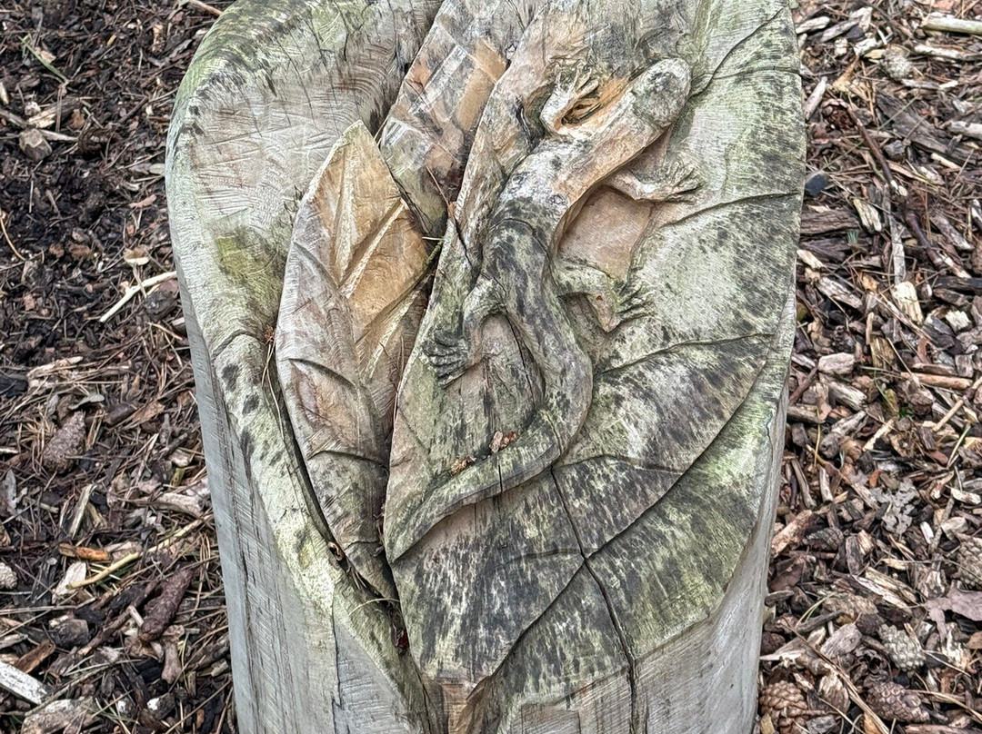 Holt Country Park-诺威奇必去景点