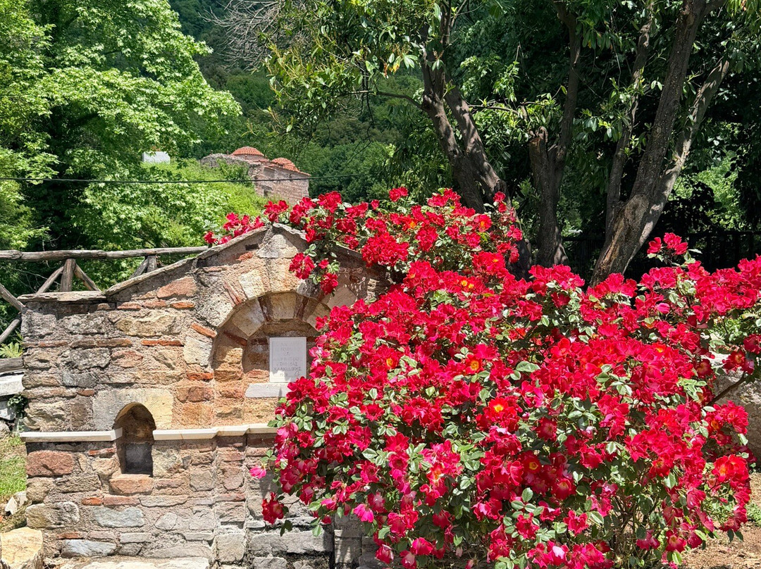 Aristotle Park-Stagira-Akanthos必去景点