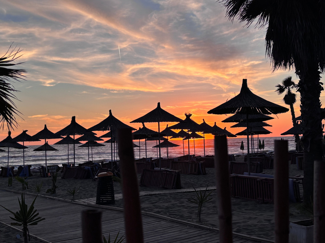 Albatros Beach & Resort
