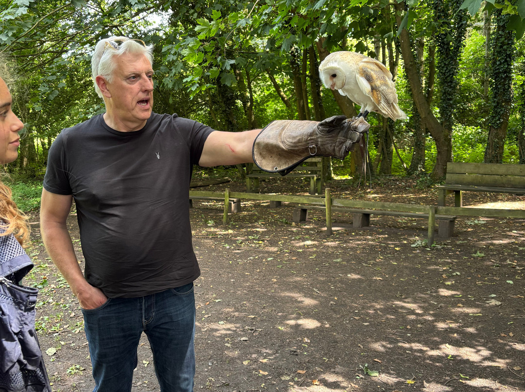 Willows Bird of Prey & Wildlife Trail-Knockholt必去景点