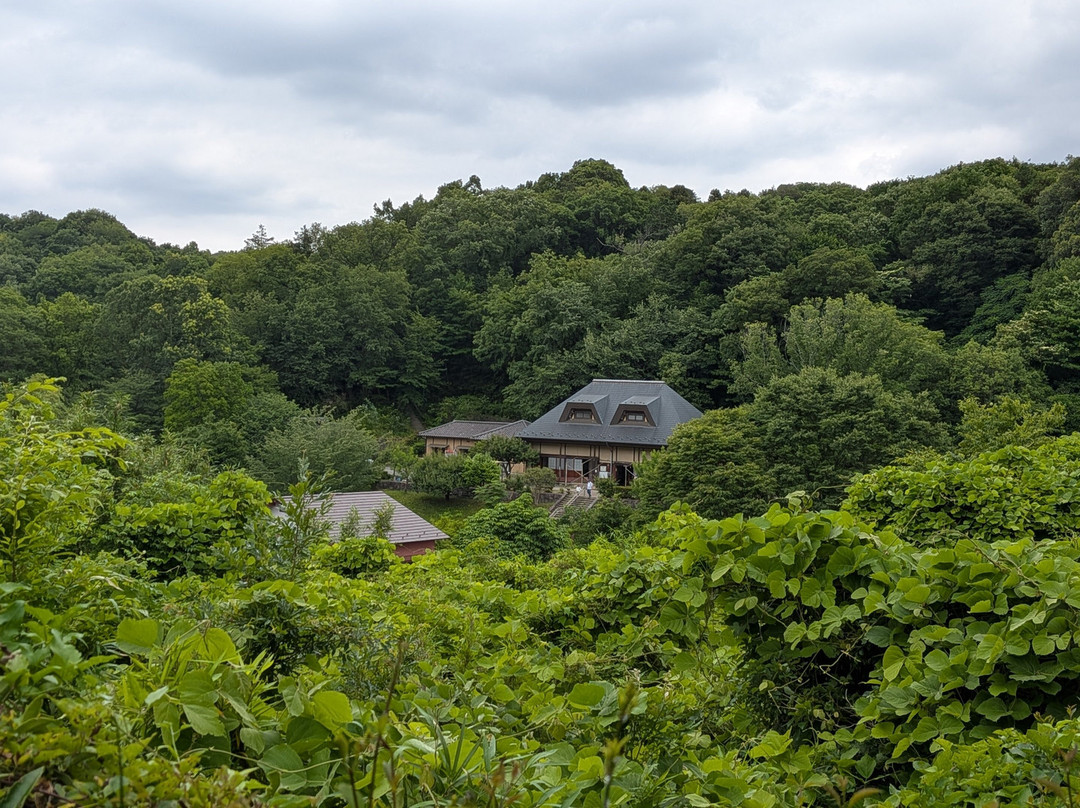 Zama Yatoyama Park-座间市必去景点