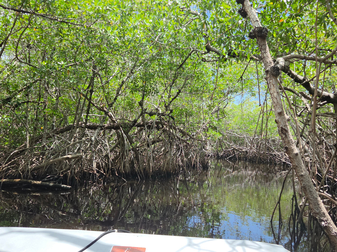 Captain Jack's Airboat Tours-大沼泽地必去景点