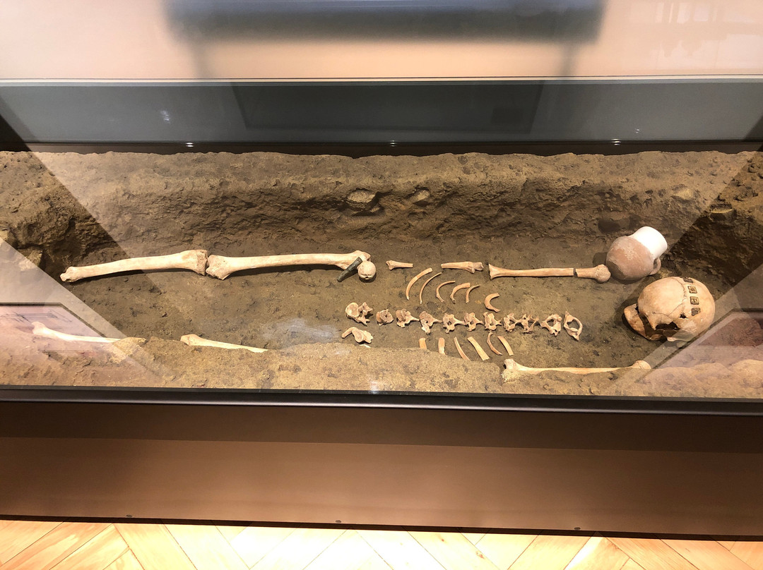 Complexul Muzeal Arad - Archaeology-History Section-阿拉德必去景点