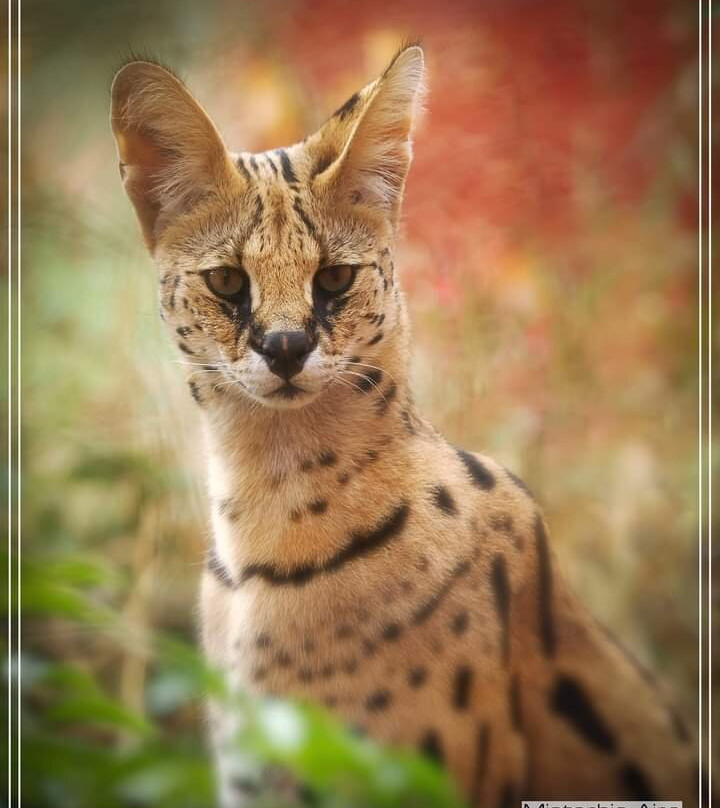 Zoo d'Upie Le Jardin Aux Oiseaux-Upie必去景点