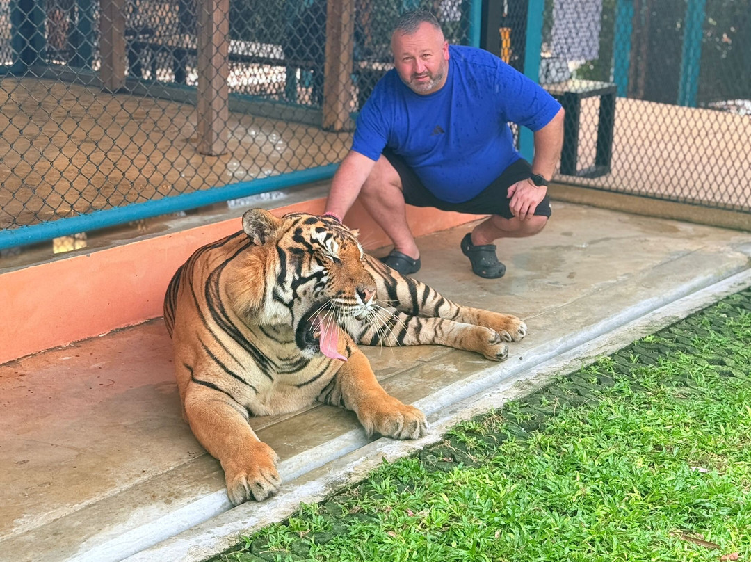 Tiger PARK Phuket-查龙必去景点