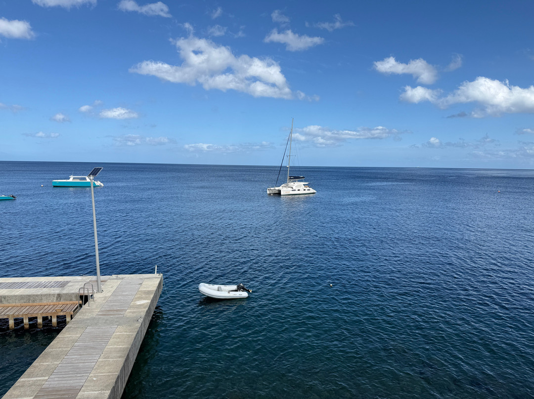 Ocean Oasis Hotel Dominica
