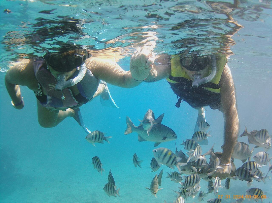 Snorkeling Tour Varadero-巴拉德罗必去景点