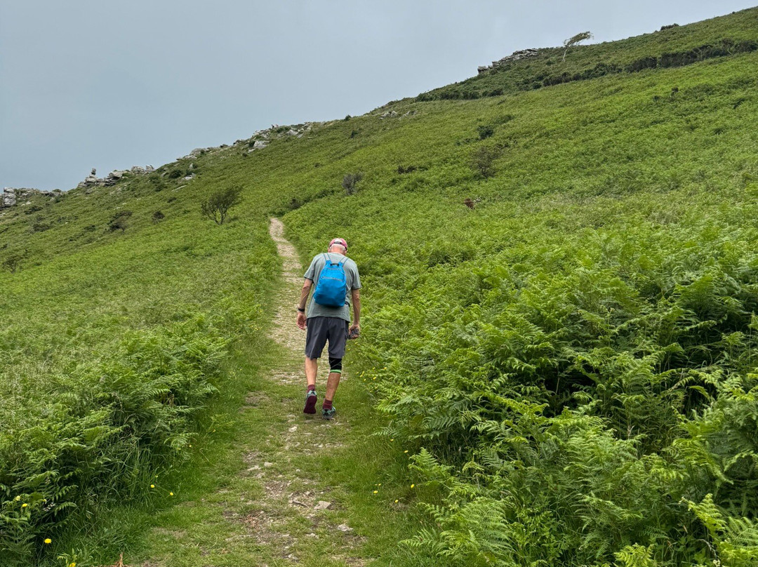 Valley of the Rocks-林茅斯必去景点