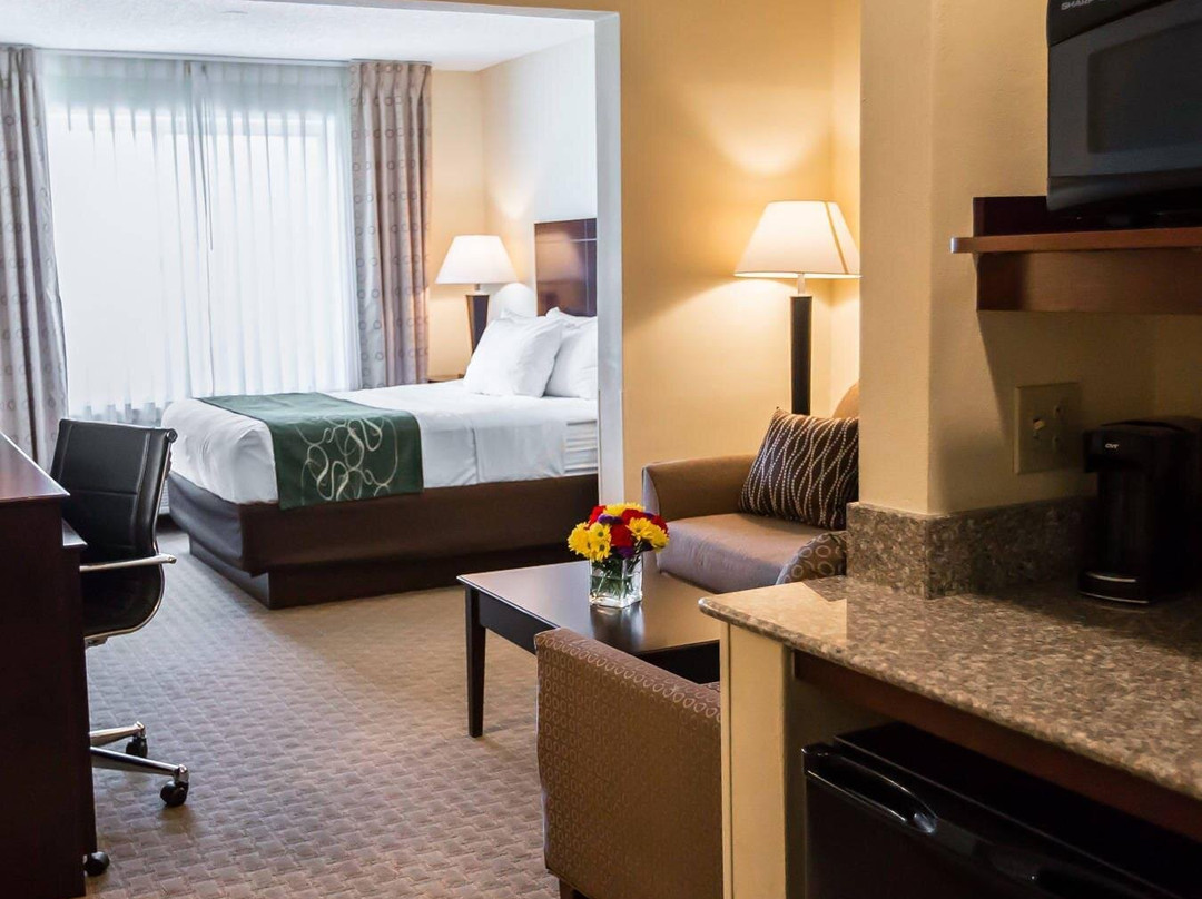 Niles酒店住宿-Comfort Suites University Area Notre Dame-South Bend