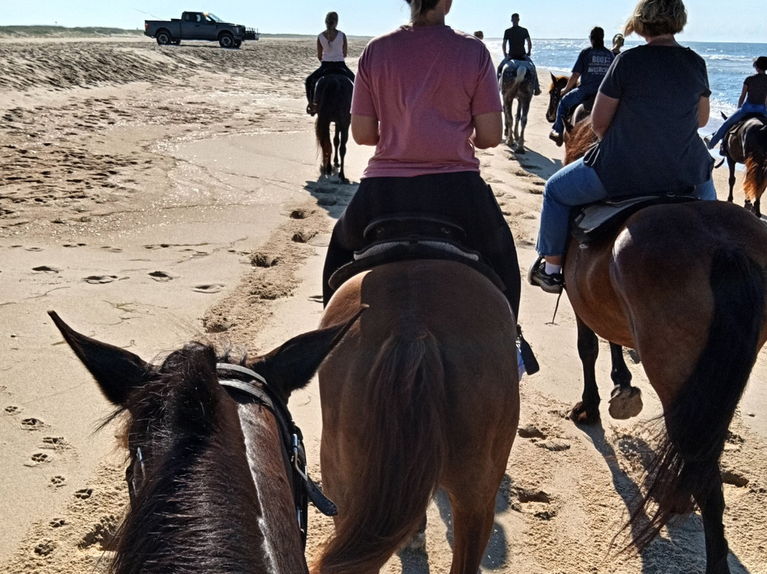 Equine Adventures-Frisco必去景点
