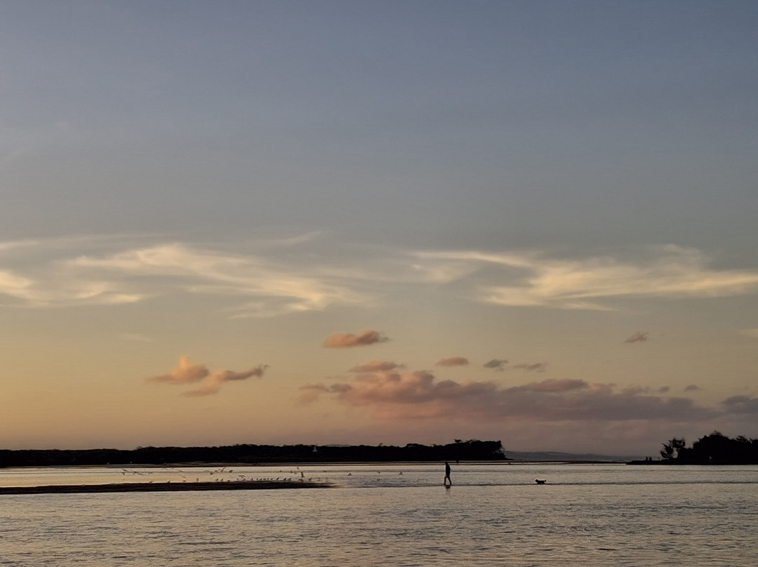 Noosa River & Canal Cruises-努萨维尔必去景点