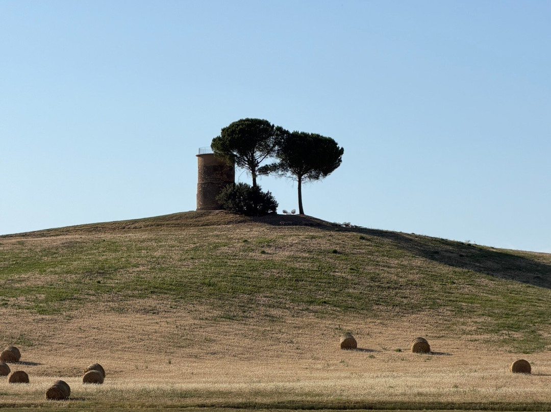 Mulino Del Cardellino-Bibbona必去景点