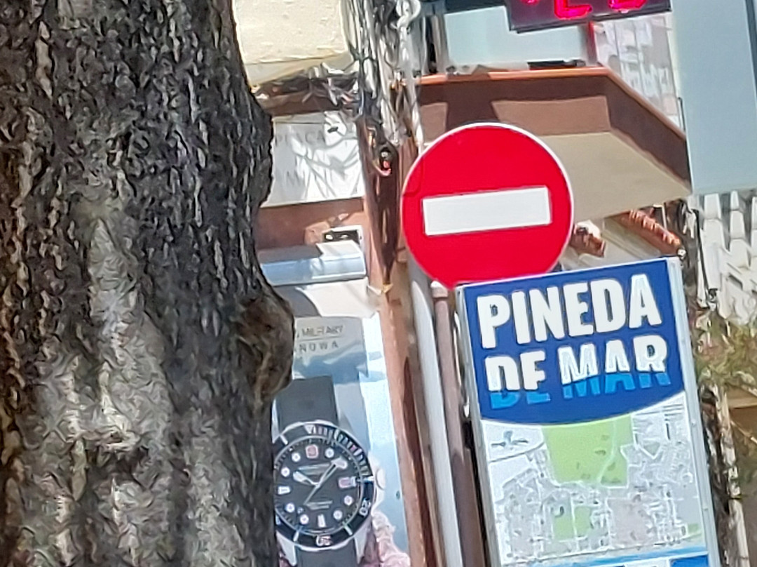 梅尔切酒店主图