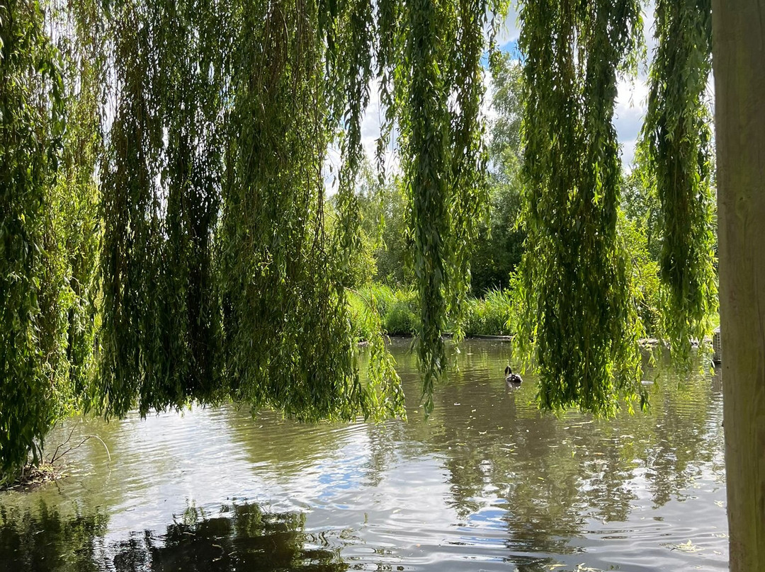 WWT Martin Mere Wetland Centre-Burscough必去景点