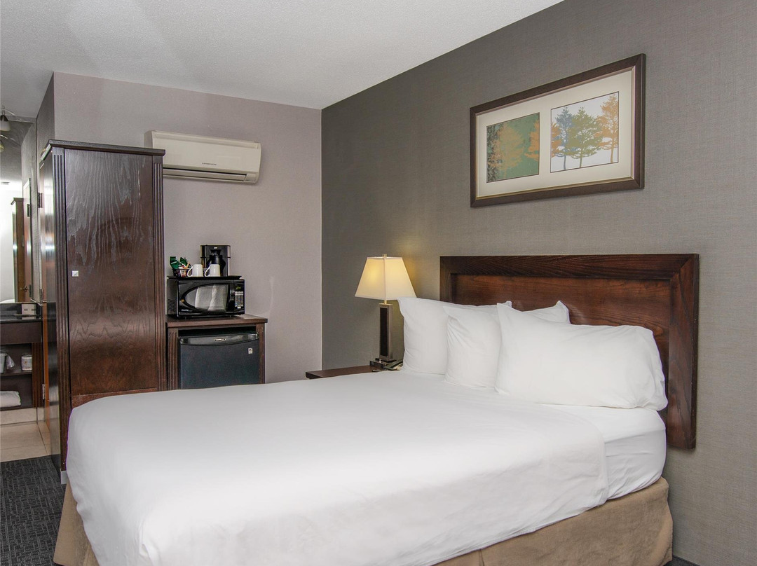 莱斯布里奇酒店住宿-Coast Lethbridge Hotel & Conference Centre