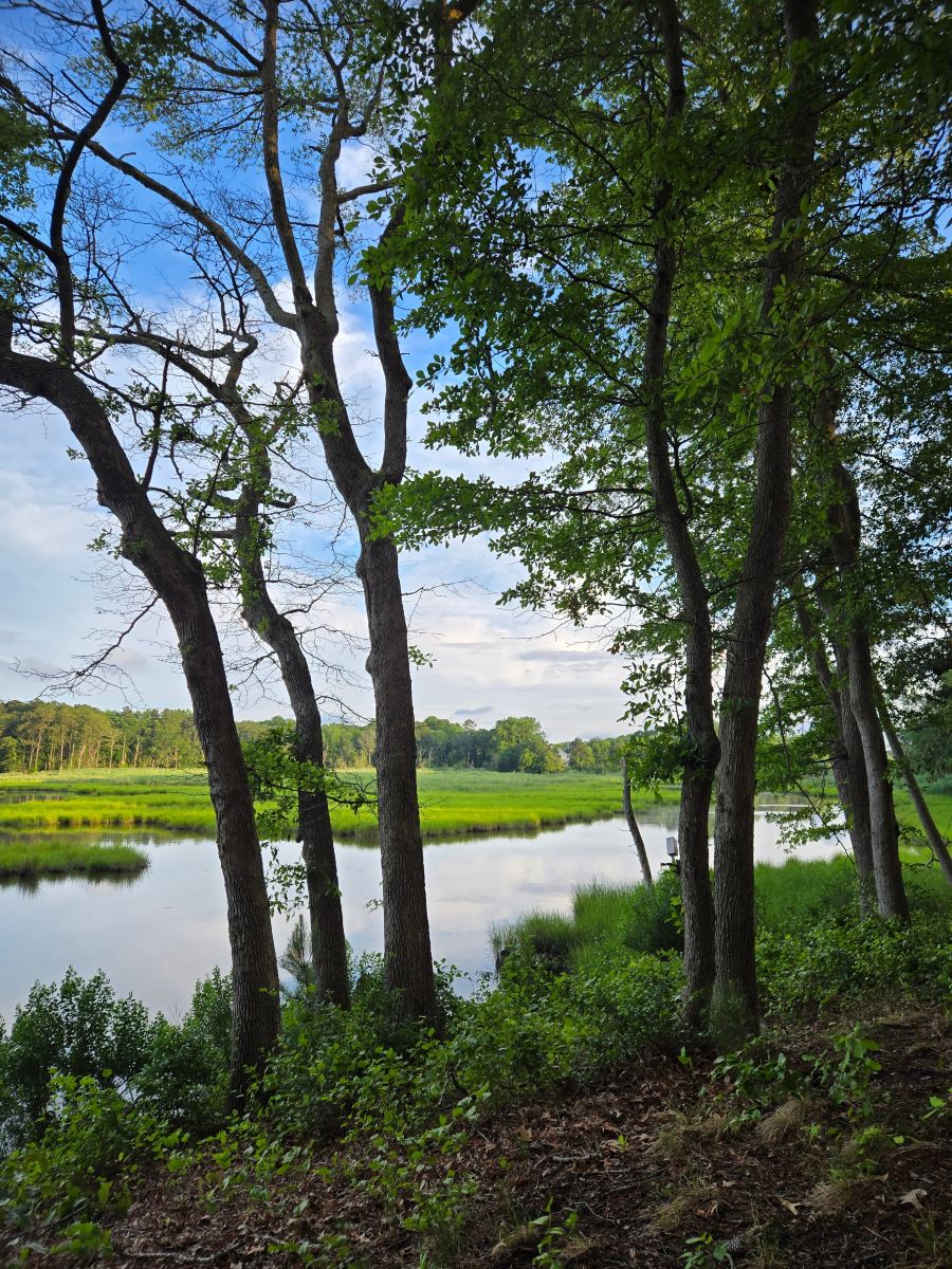 Lazy L At Willow Creek Bed & Breakfast-旅行者