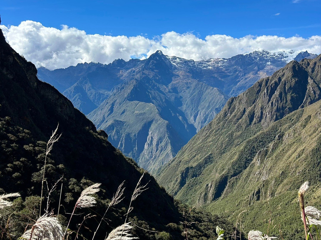 Alpaca Expeditions-库斯科必去景点